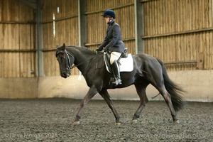 Isis Dressage Crown Farm Show 29th April 2012